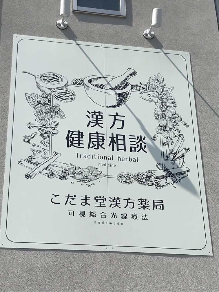 江戸時代、漢方薬の歴史 | 羽生 和子 |本 | 通販 | Amazon